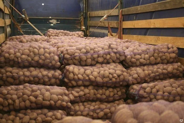 фотография продукта доставка картофеля оптом