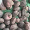  Картофель продовольственный Ароза в Челябинске