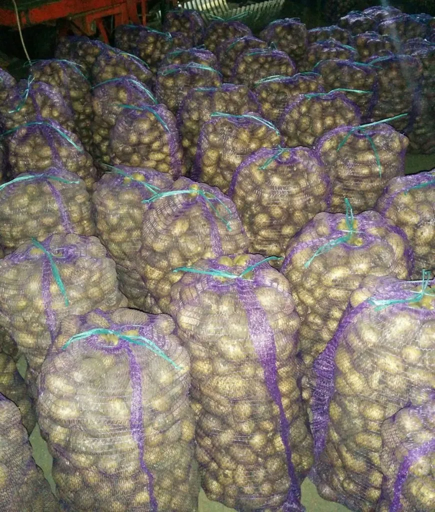 картофель оптом от производителя в Челябинске 4