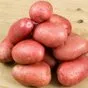 семенной картофель из беларуси.журавинка в Челябинске и Челябинской области