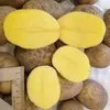 картофель оптом калиброванный от КФХ в Челябинске 4